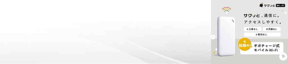 �T�N�b��Wi-Fi Light�EBasic�y���R�~�E�]���E�ň��l�����͂�����z��������wifi